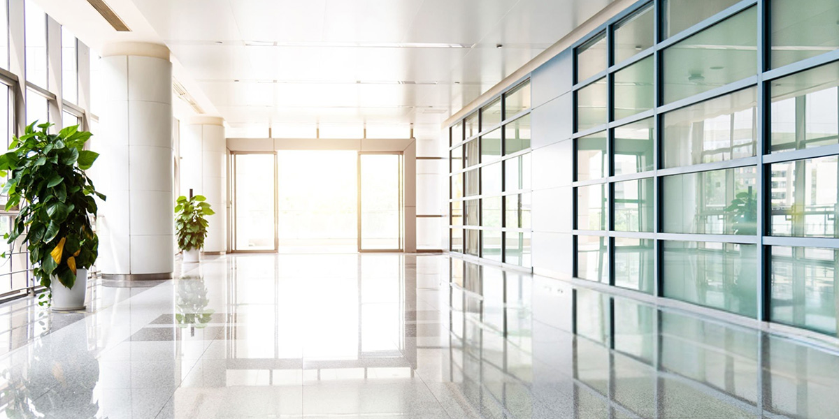 Segregation of Duties: Definition, Examples, and Best Practices